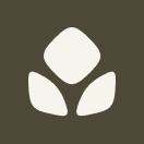 Clove logo